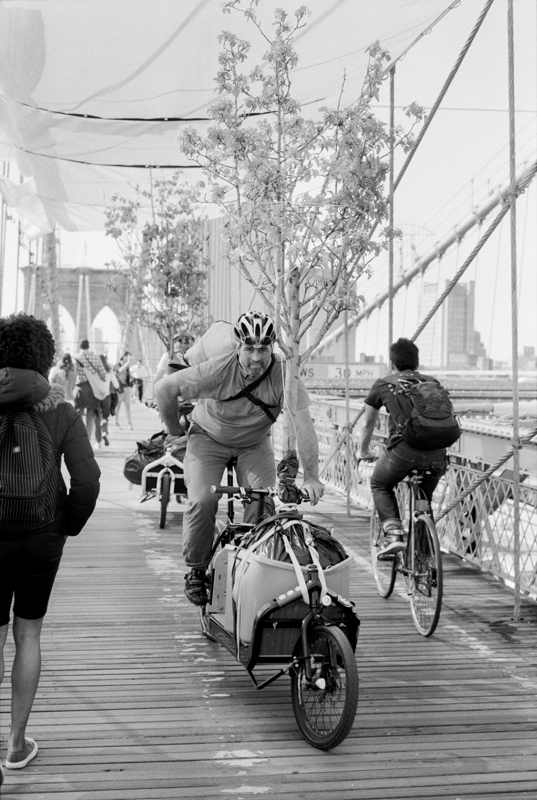 bycicle traffic on Brooklyn Bridge